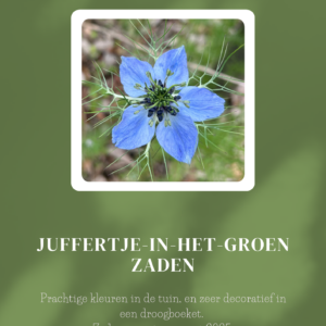 juffertje in het groen
