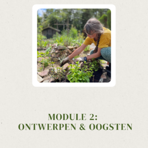 module 2: lente: ontwerpen & oogsten van de cursus ontwerp je kruidentuin
